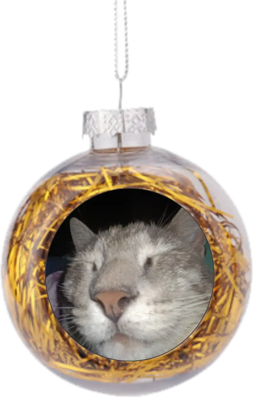 Chirimbolos con foto